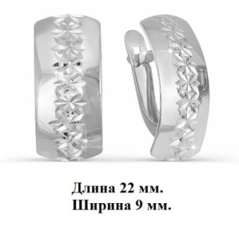 с220296 Серьги (Серебро 925)